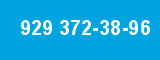 929 372-38-96